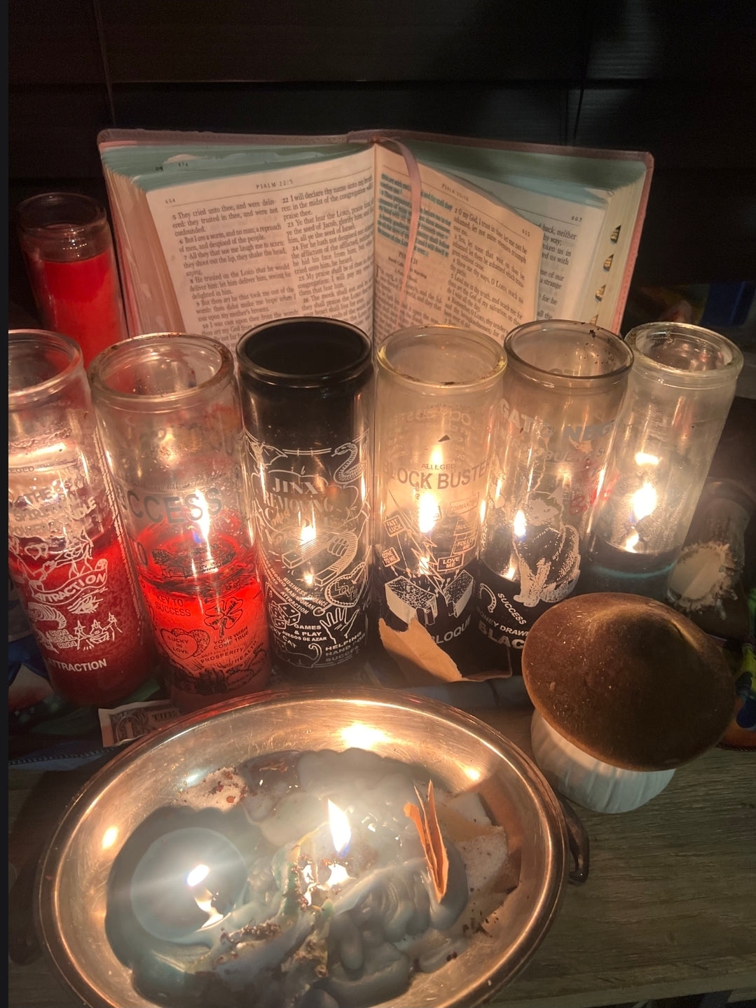 CAROLINA CONJURE HOUSE 