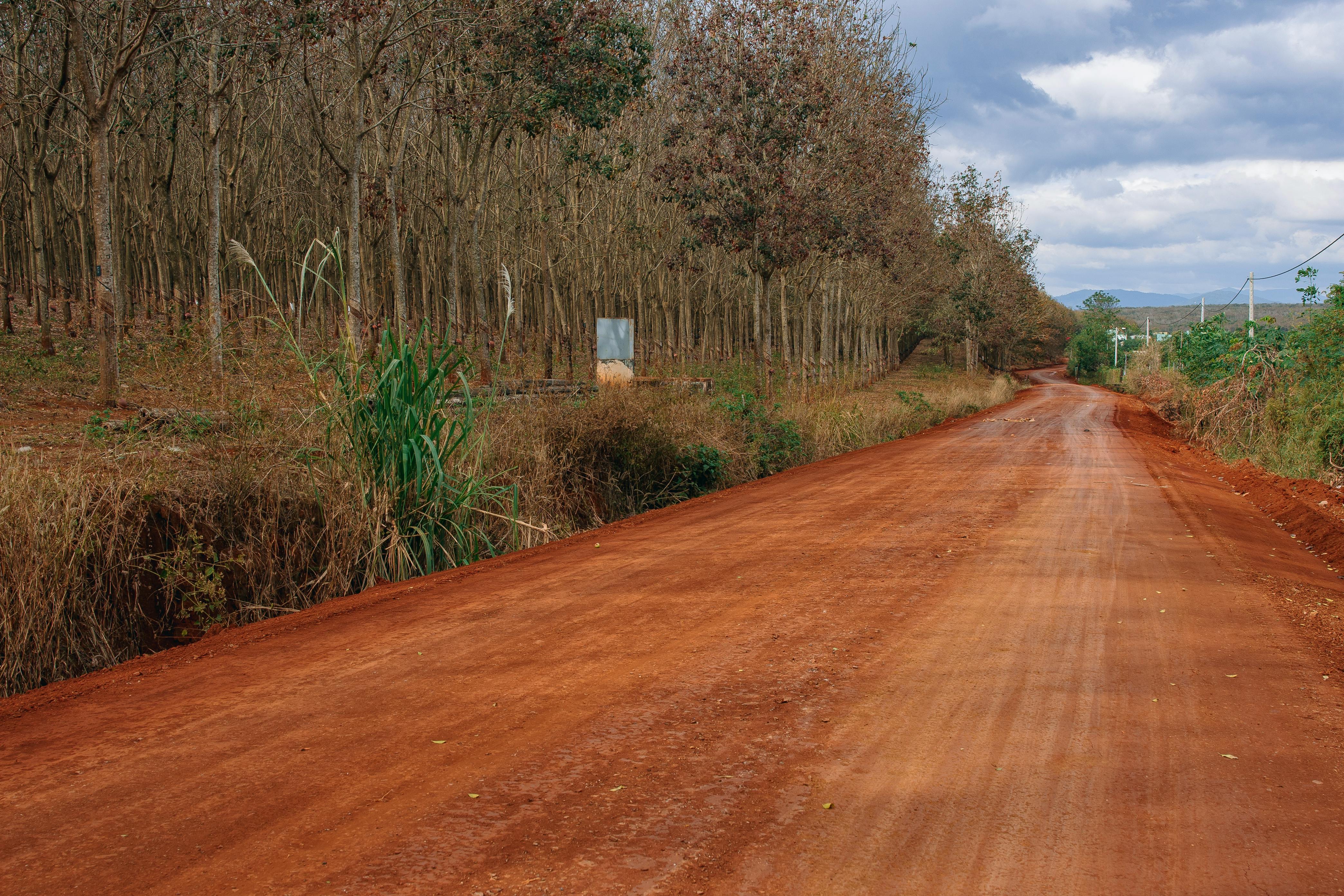 Alabama Red Dirt